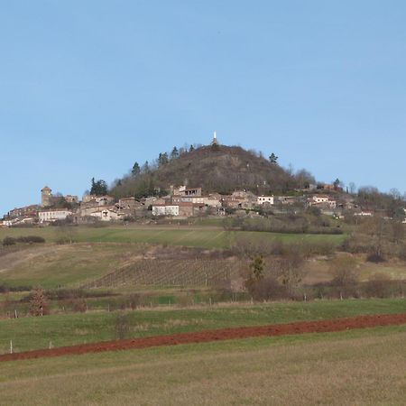 Saint-Rémy-de-Chargnat Chateau Des Aiguilles المظهر الخارجي الصورة