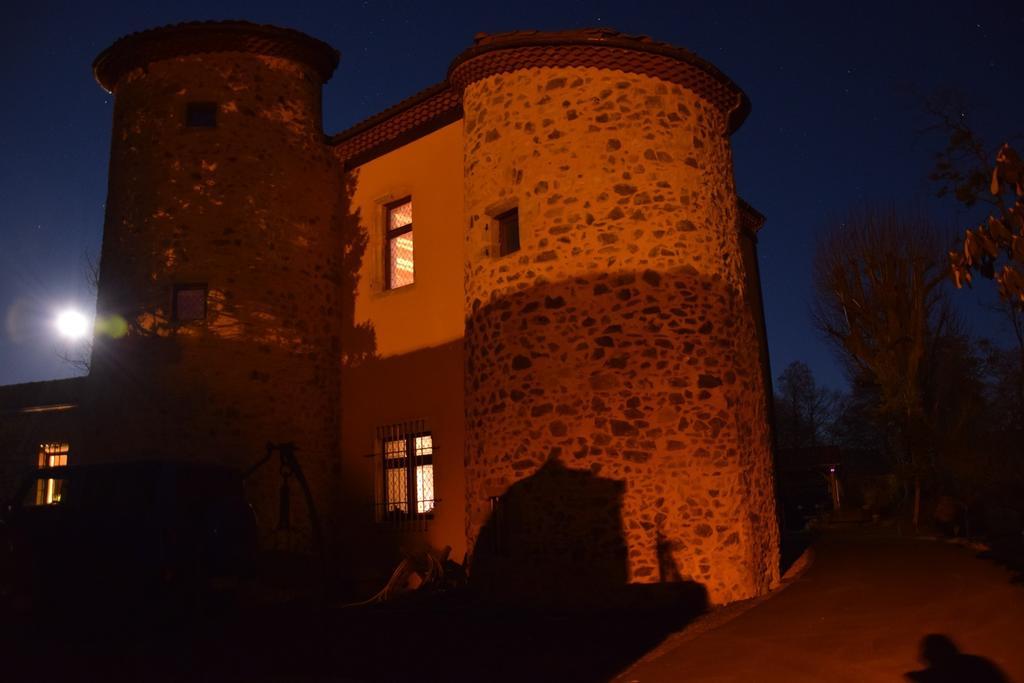 Saint-Rémy-de-Chargnat Chateau Des Aiguilles المظهر الخارجي الصورة