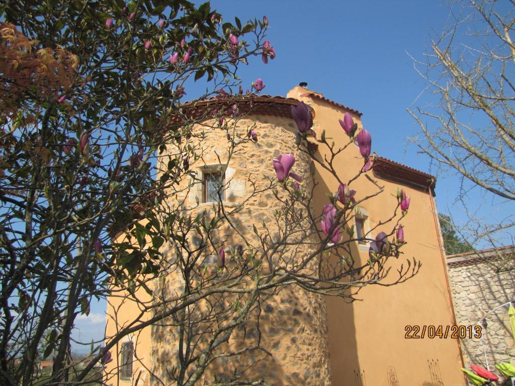 Saint-Rémy-de-Chargnat Chateau Des Aiguilles المظهر الخارجي الصورة